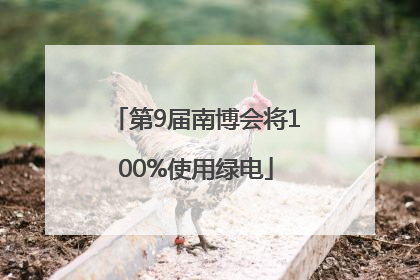 第9届南博会将100%使用绿电