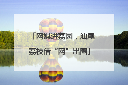 网媒进荔园，汕尾荔枝借“网”出圈