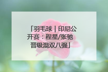 羽毛球｜印尼公开赛：程星/张驰晋级混双八强