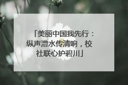 美丽中国我先行：纵声澧水传清响，校社联心护碧川