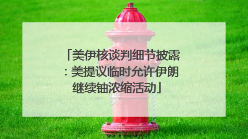 美伊核谈判细节披露：美提议临时允许伊朗继续铀浓缩活动