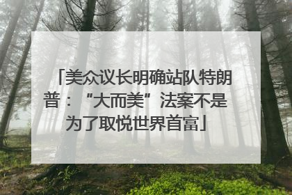 美众议长明确站队特朗普：“大而美”法案不是为了取悦世界首富