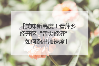 美味新高度！看萍乡经开区“舌尖经济” 如何跑出加速度