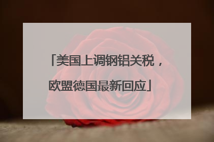 美国上调钢铝关税，欧盟德国最新回应