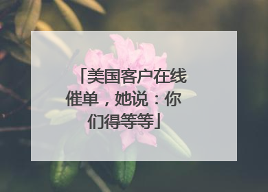 美国客户在线催单，她说：你们得等等