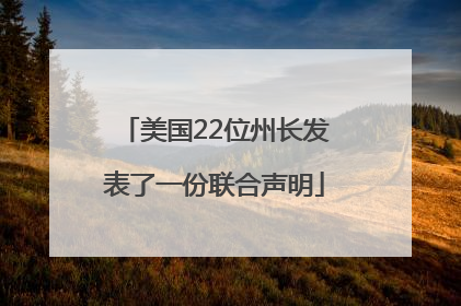 美国22位州长发表了一份联合声明