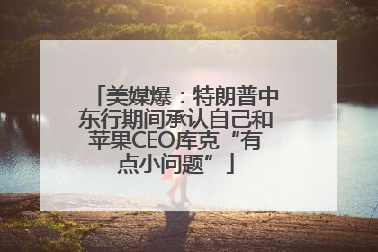 美媒爆：特朗普中东行期间承认自己和苹果CEO库克“有点小问题”