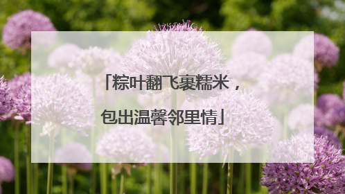 粽叶翻飞裹糯米，包出温馨邻里情
