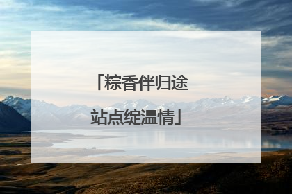 粽香伴归途 站点绽温情