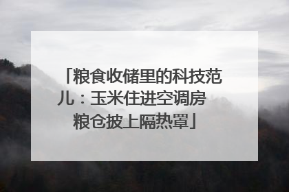 粮食收储里的科技范儿：玉米住进空调房 粮仓披上隔热罩
