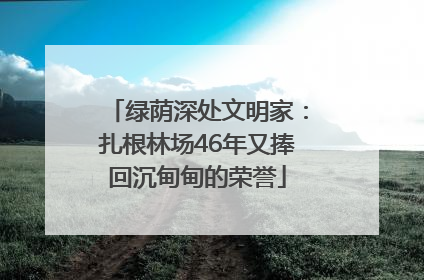 绿荫深处文明家：扎根林场46年又捧回沉甸甸的荣誉