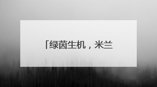 绿茵生机，米兰体育与阿拉维斯竞技达成合作