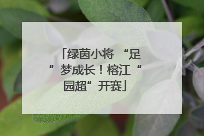 绿茵小将 “足”梦成长！榕江“园超”开赛
