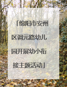 绵阳市安州区调元路幼儿园开展幼小衔接主题活动