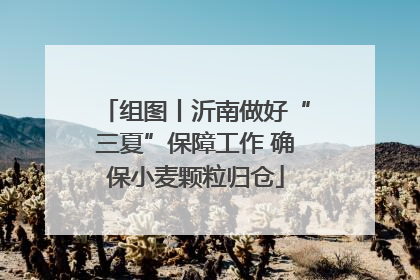 组图丨沂南做好“三夏”保障工作 确保小麦颗粒归仓