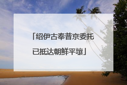 绍伊古奉普京委托已抵达朝鲜平壤