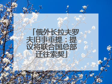 俄外长拉夫罗夫旧事重提：提议将联合国总部迁往索契