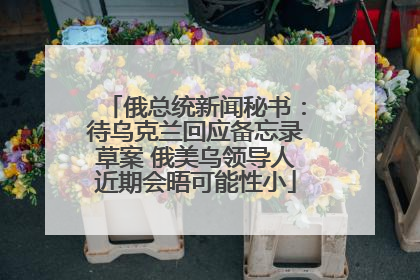 俄总统新闻秘书：待乌克兰回应备忘录草案 俄美乌领导人近期会晤可能性小