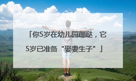 你5岁在幼儿园蹦跶，它5岁已准备“娶妻生子”
