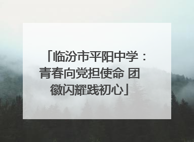 临汾市平阳中学：青春向党担使命 团徽闪耀践初心
