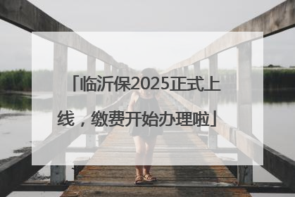 临沂保2025正式上线，缴费开始办理啦