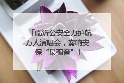 临沂公安全力护航万人演唱会，奏响安保“最强音”