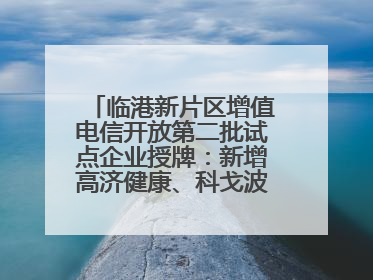 临港新片区增值电信开放第二批试点企业授牌：新增高济健康、科戈波特两家