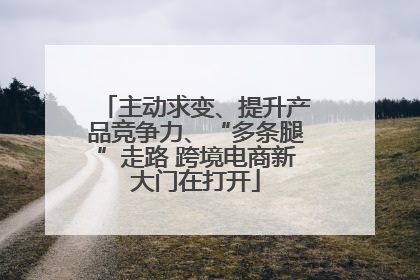 主动求变、提升产品竞争力、“多条腿”走路 跨境电商新大门在打开