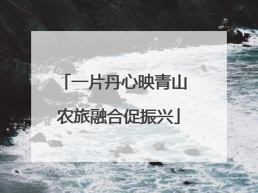 一片丹心映青山 农旅融合促振兴