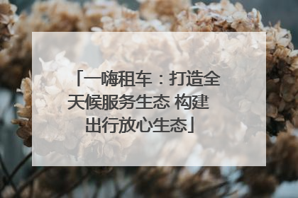 一嗨租车：打造全天候服务生态 构建出行放心生态