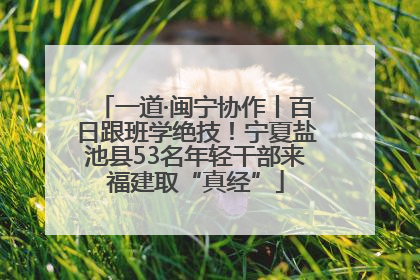 一道·闽宁协作丨百日跟班学绝技！宁夏盐池县53名年轻干部来福建取“真经”