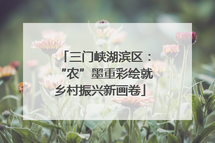 三门峡湖滨区：“农”墨重彩绘就乡村振兴新画卷