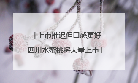 上市推迟但口感更好 四川水蜜桃将大量上市