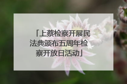 上蔡检察开展民法典颁布五周年检察开放日活动