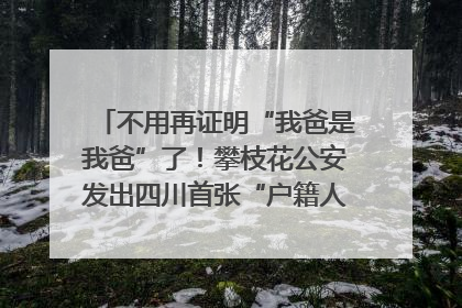 不用再证明“我爸是我爸”了！攀枝花公安发出四川首张“户籍人口直系亲属关系谱”