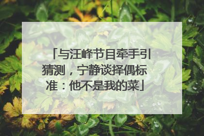 与汪峰节目牵手引猜测，宁静谈择偶标准：他不是我的菜