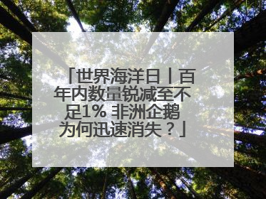世界海洋日丨百年内数量锐减至不足1% 非洲企鹅为何迅速消失？