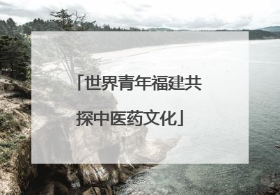 世界青年福建共探中医药文化