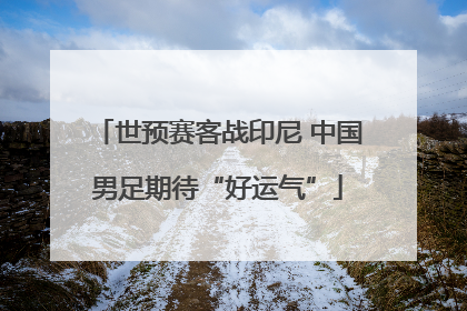 世预赛客战印尼 中国男足期待“好运气”