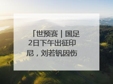 世预赛｜国足2日下午出征印尼，刘若钒因伤落选大名单