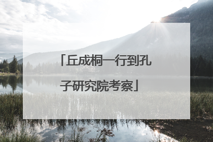 丘成桐一行到孔子研究院考察