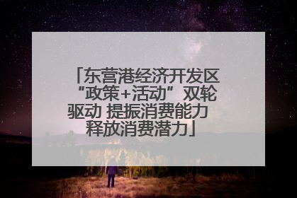 东营港经济开发区“政策+活动”双轮驱动 提振消费能力 释放消费潜力