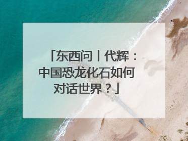 东西问丨代辉：中国恐龙化石如何对话世界？