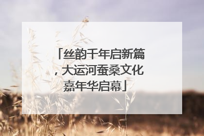丝韵千年启新篇，大运河蚕桑文化嘉年华启幕