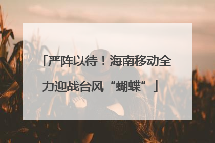 严阵以待！海南移动全力迎战台风“蝴蝶”
