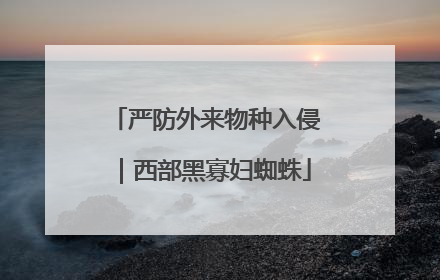 严防外来物种入侵｜西部黑寡妇蜘蛛