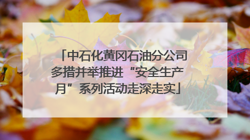中石化黄冈石油分公司多措并举推进“安全生产月”系列活动走深走实