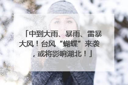 中到大雨、暴雨、雷暴大风！台风“蝴蝶”来袭，或将影响湖北！