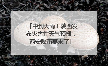 中到大雨！陕西发布灾害性天气预报，西安降雨要来了