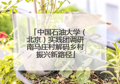 中国石油大学（北京）实践团调研南马庄村解码乡村振兴新路径
